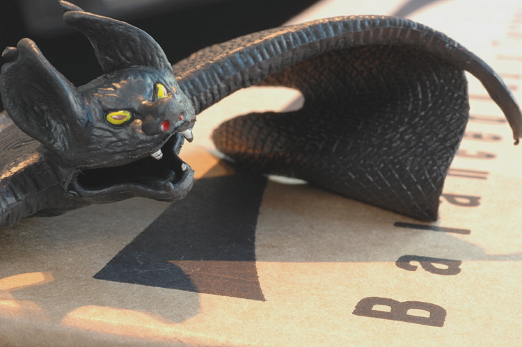 bats044.JPG