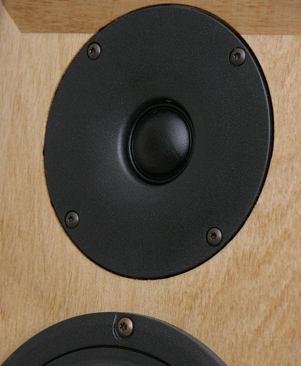 tema1033.JPG