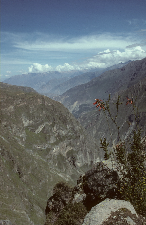 scan0137.jpg