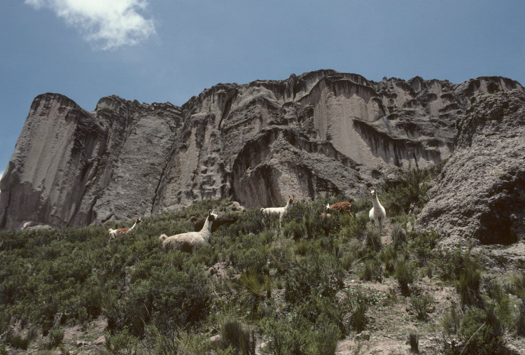 scan0211.jpg