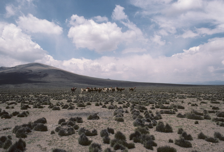 scan0212.jpg