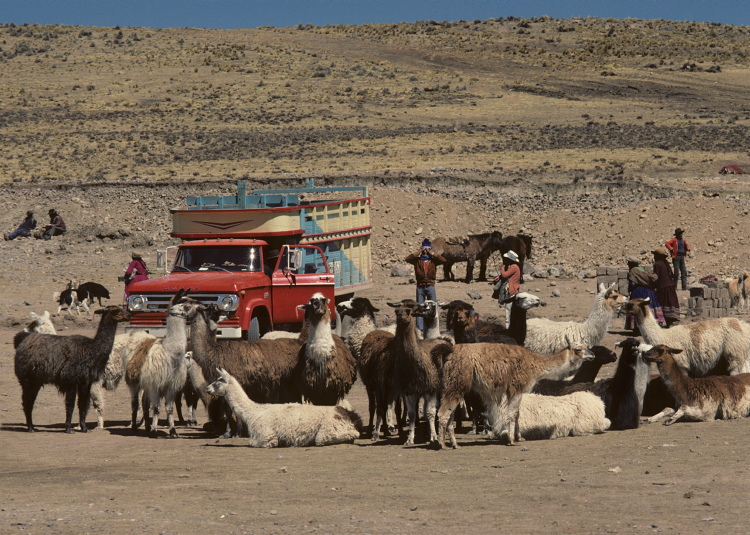 scan0218.jpg