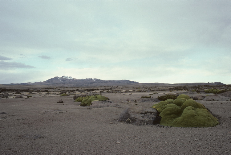 scan0230.jpg