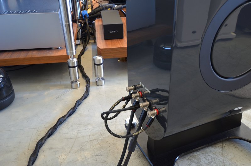 PS Audio Demo_1274.JPG
