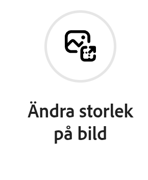 Screenshot_20250504-101306~2.png