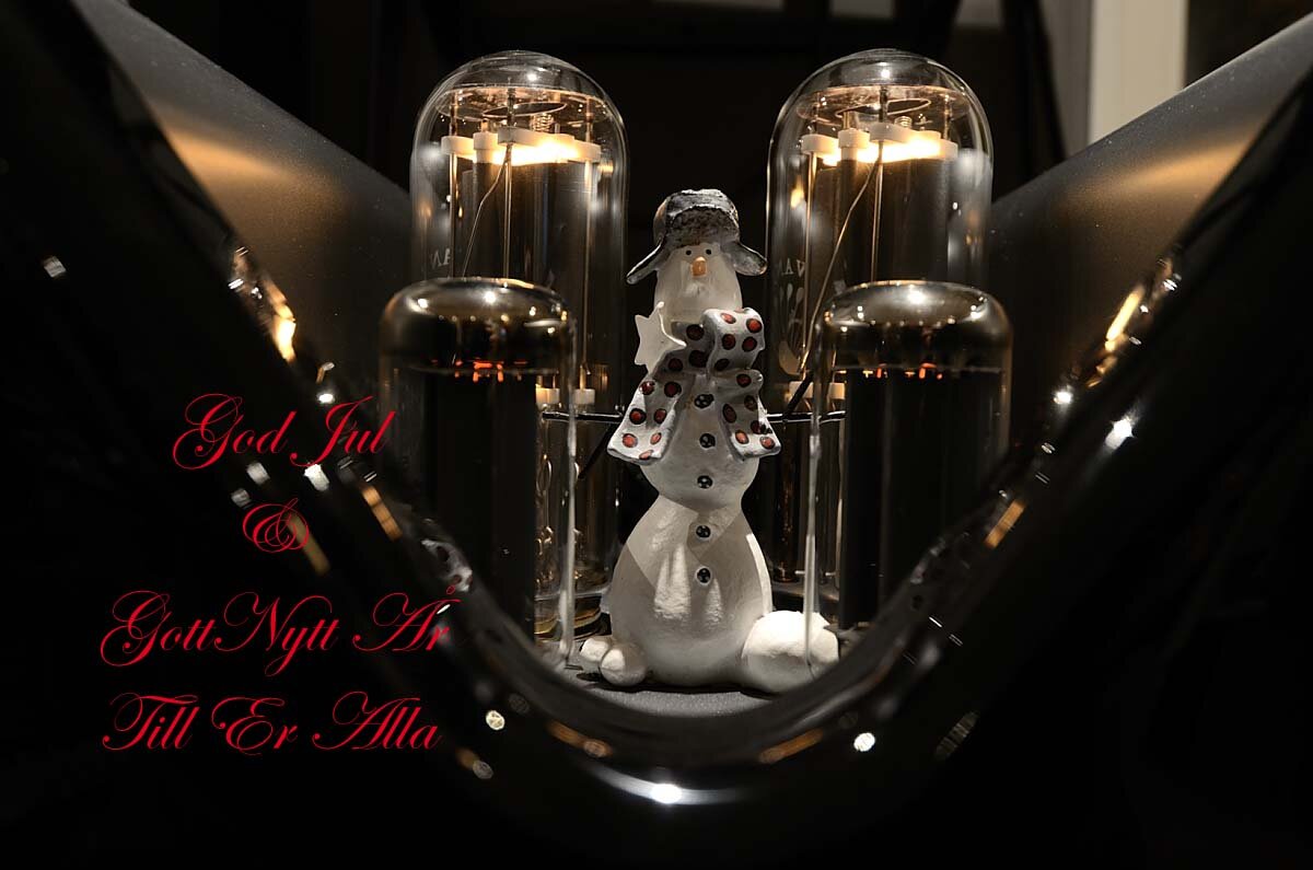 GodJul2020DSC_7944_12612_004239 (kopia).jpg